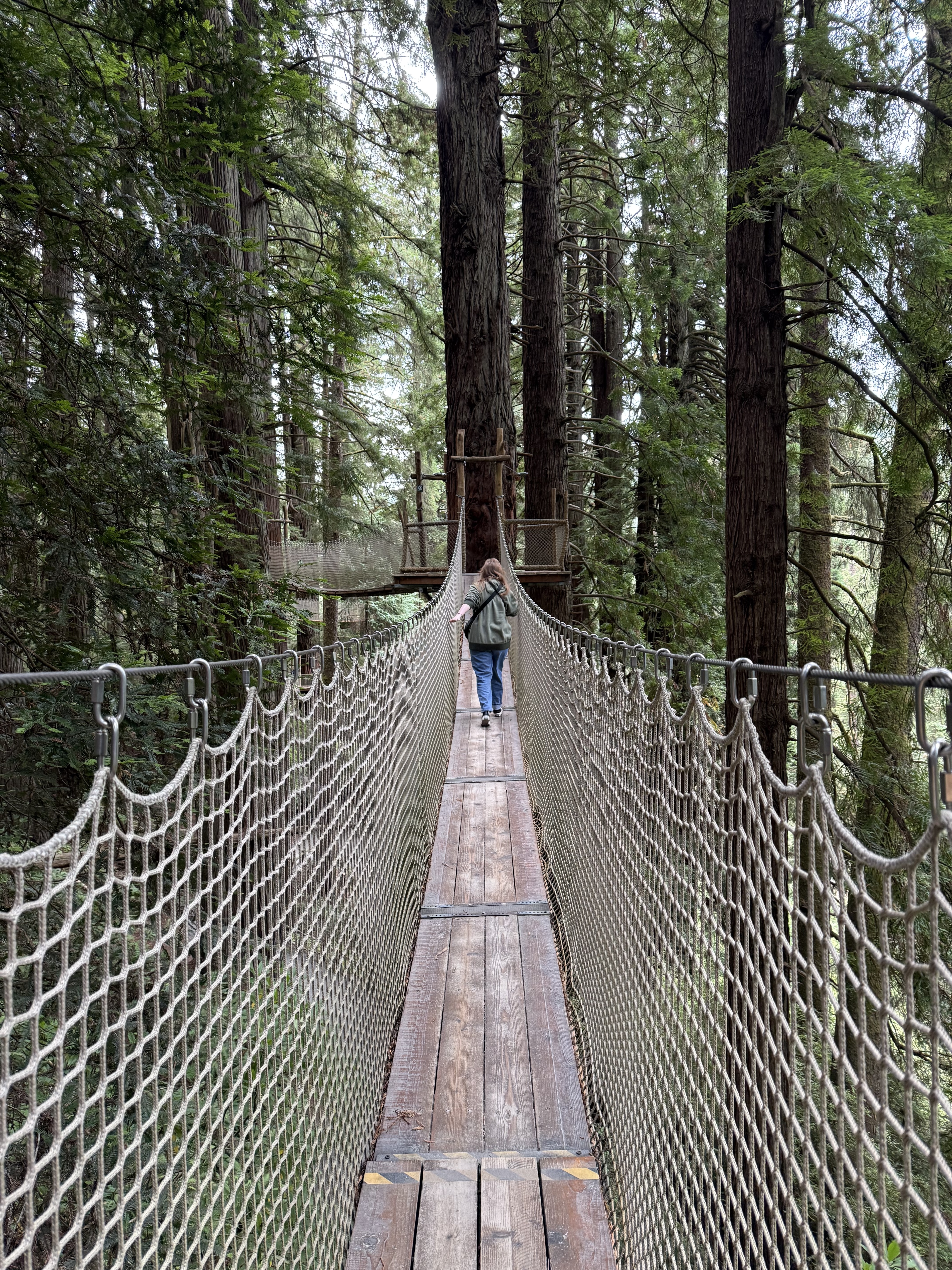 Casey Whitmire walking on a bridge between two Redwoods.