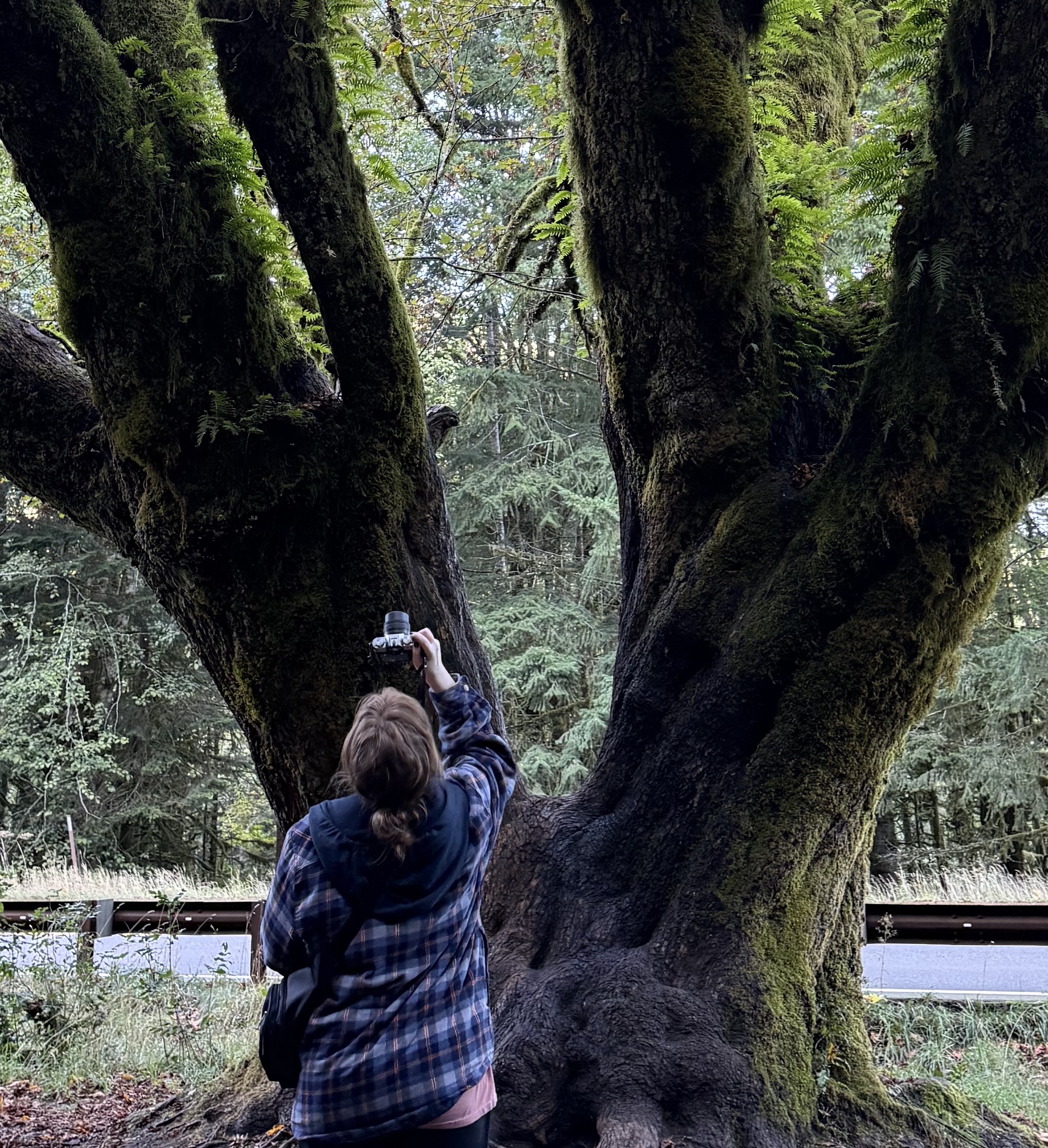 A photo of Casey Whitmire, taking a picture of a tree